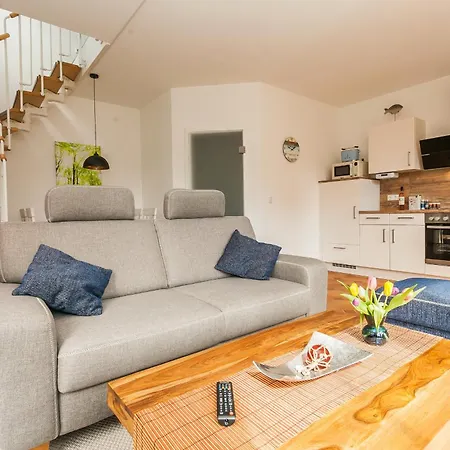 Lindenstrasse 41 Gele Ginster